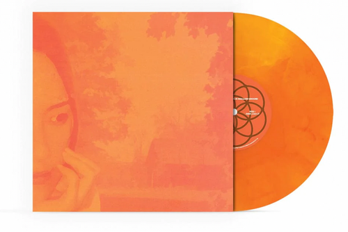 DJNOTADJ - DEEP ROOTS IN SHALLOW GROUND LIMITED EDITION VINYL